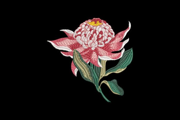 Blossom of Fire Embroidery Design Review