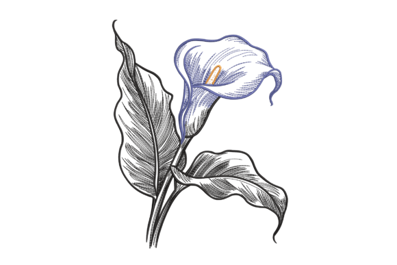 Calla Lily Sketch: A Vintage-Inspired Embroidery Design for Real Projects