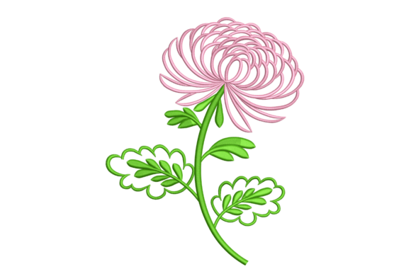 Chrysanthemum Outline Flower Review