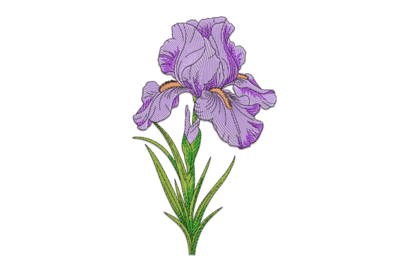 Purple Iris Embroidery Review: A Boutique Sweatshirt Staple