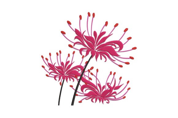 Red Spider Lily Review