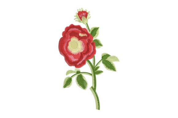 Romance in Bloom Embroidery Review