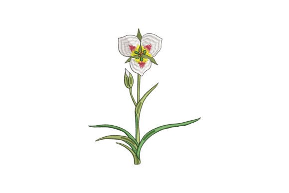 Sego Lily Bloom Embroidery Review